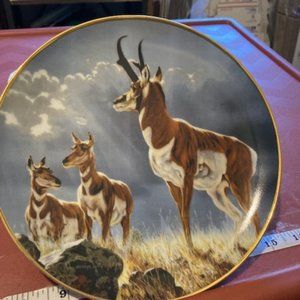 North American Hunting Club plate